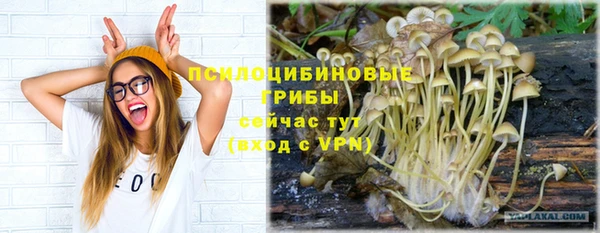 СК Краснослободск