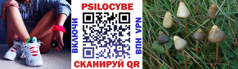 Псилоцибиновые грибы GOLDEN TEACHER Северо-Курильск