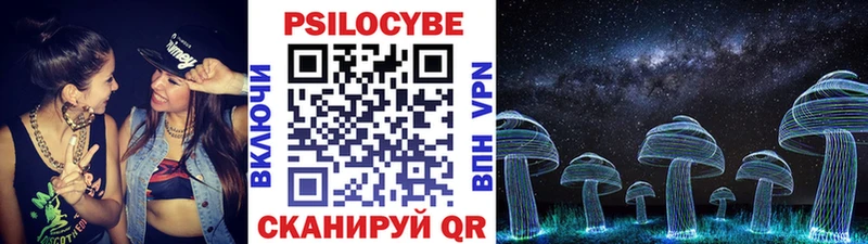 Псилоцибиновые грибы Psilocybe  наркошоп  Северо-Курильск 